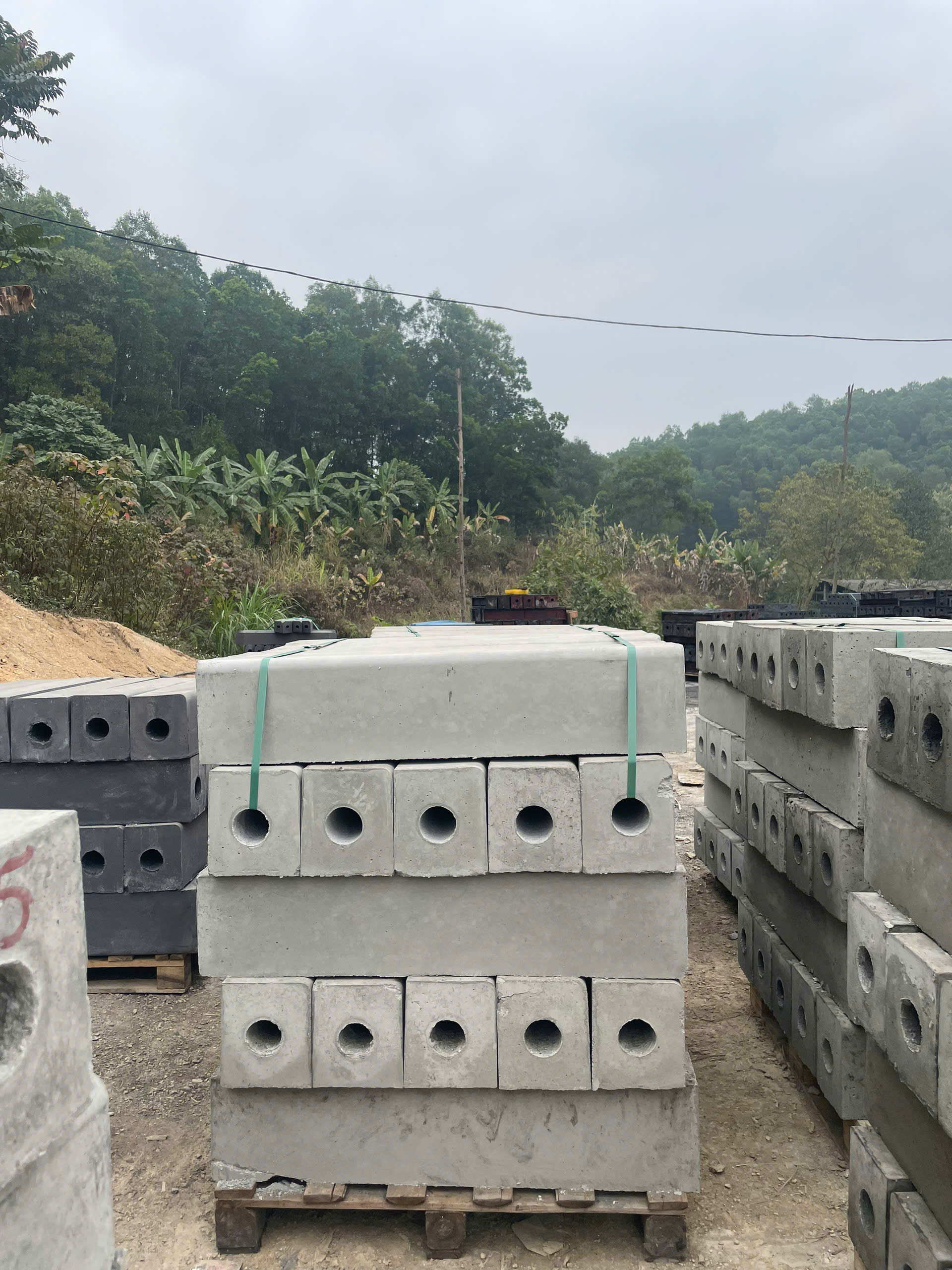 betongnguyen profile picture