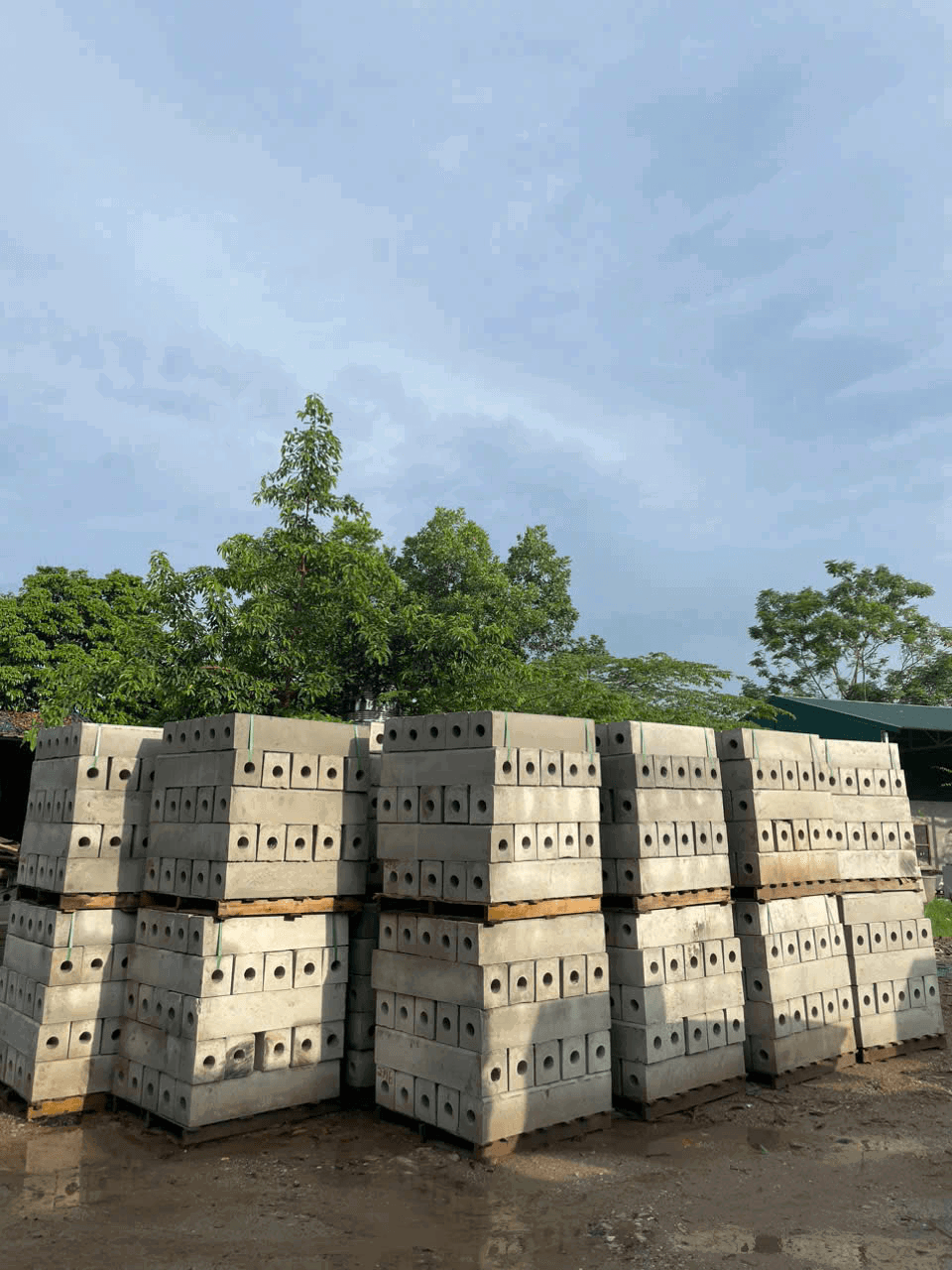 betongnguyenhuy profile picture