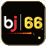 bj66jsw profile picture