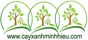 caycongtrinh profile picture