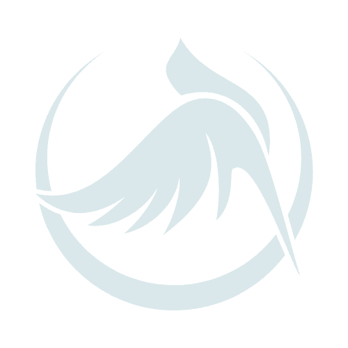 chimcanhquytran profile picture