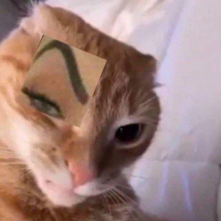 Ciki profile picture