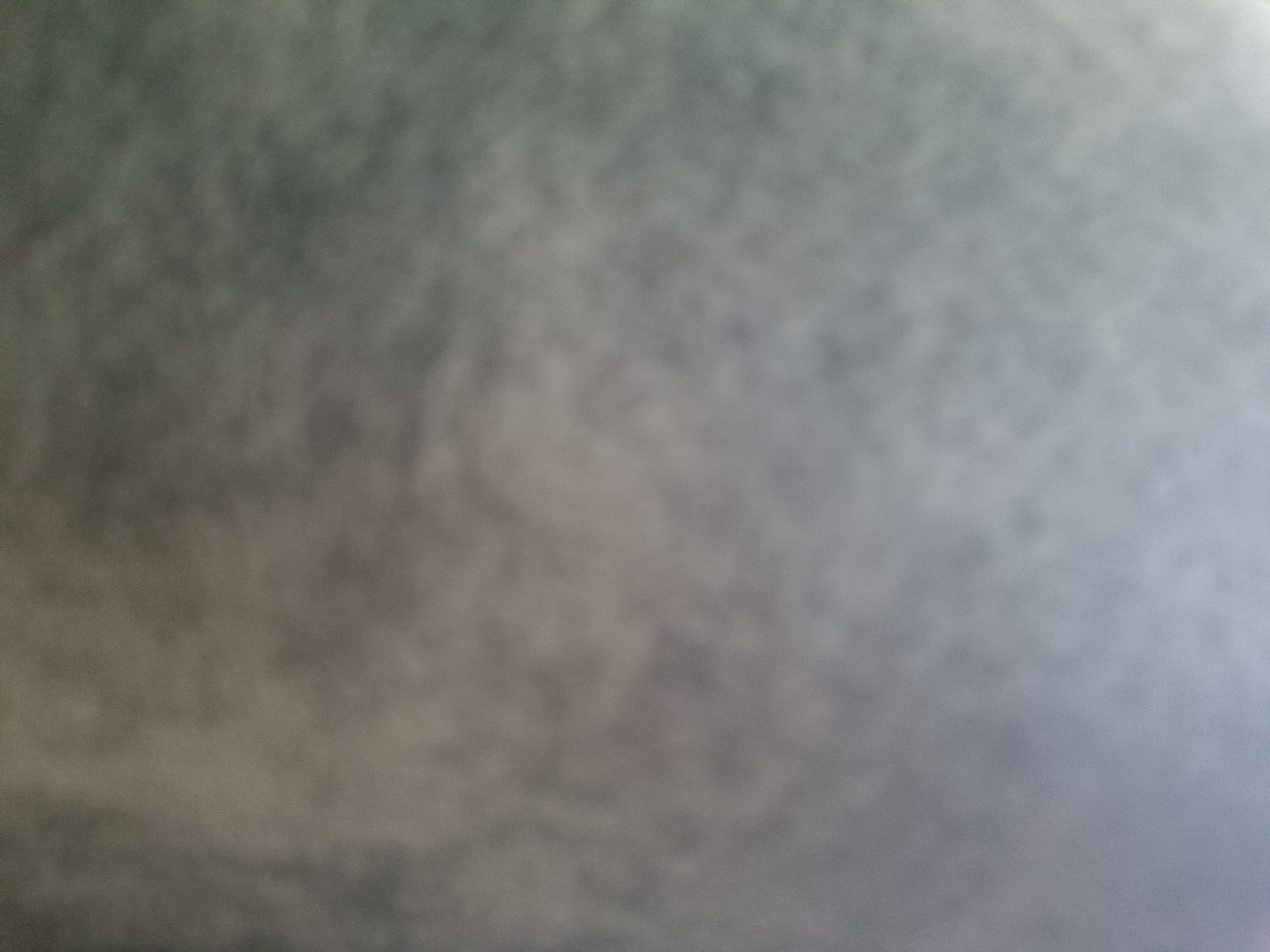 Daichi profile picture