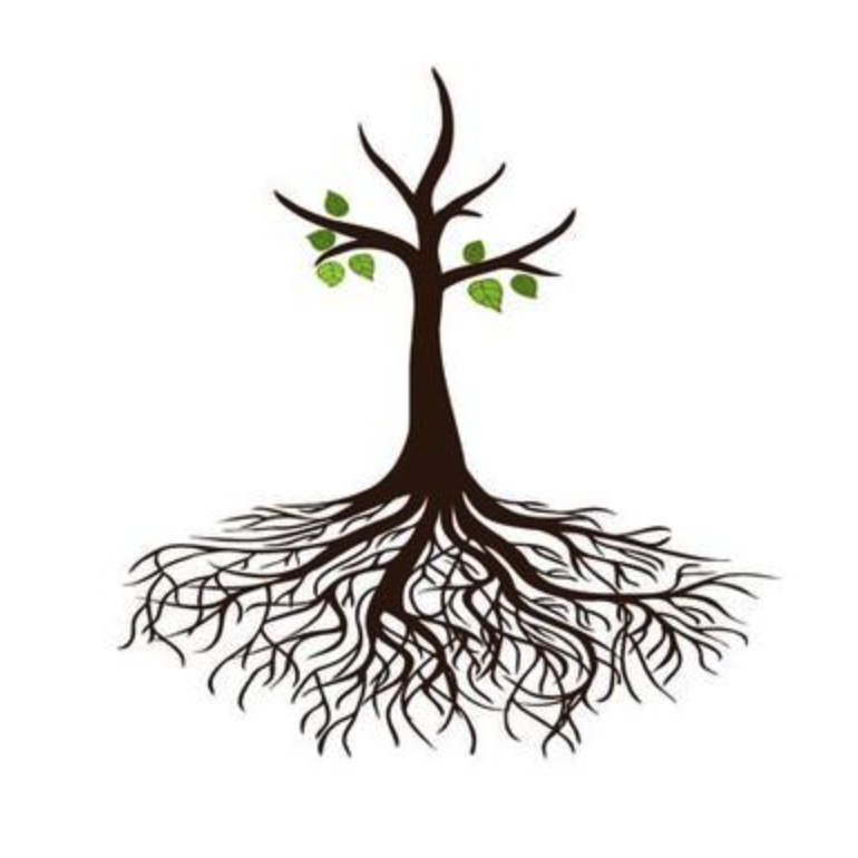 David Barry profile picture