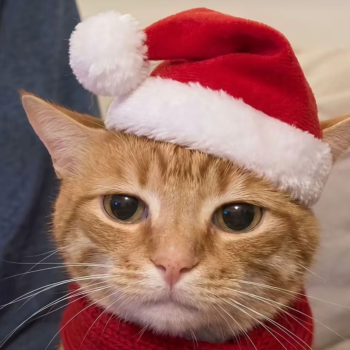 Dkphhh profile picture