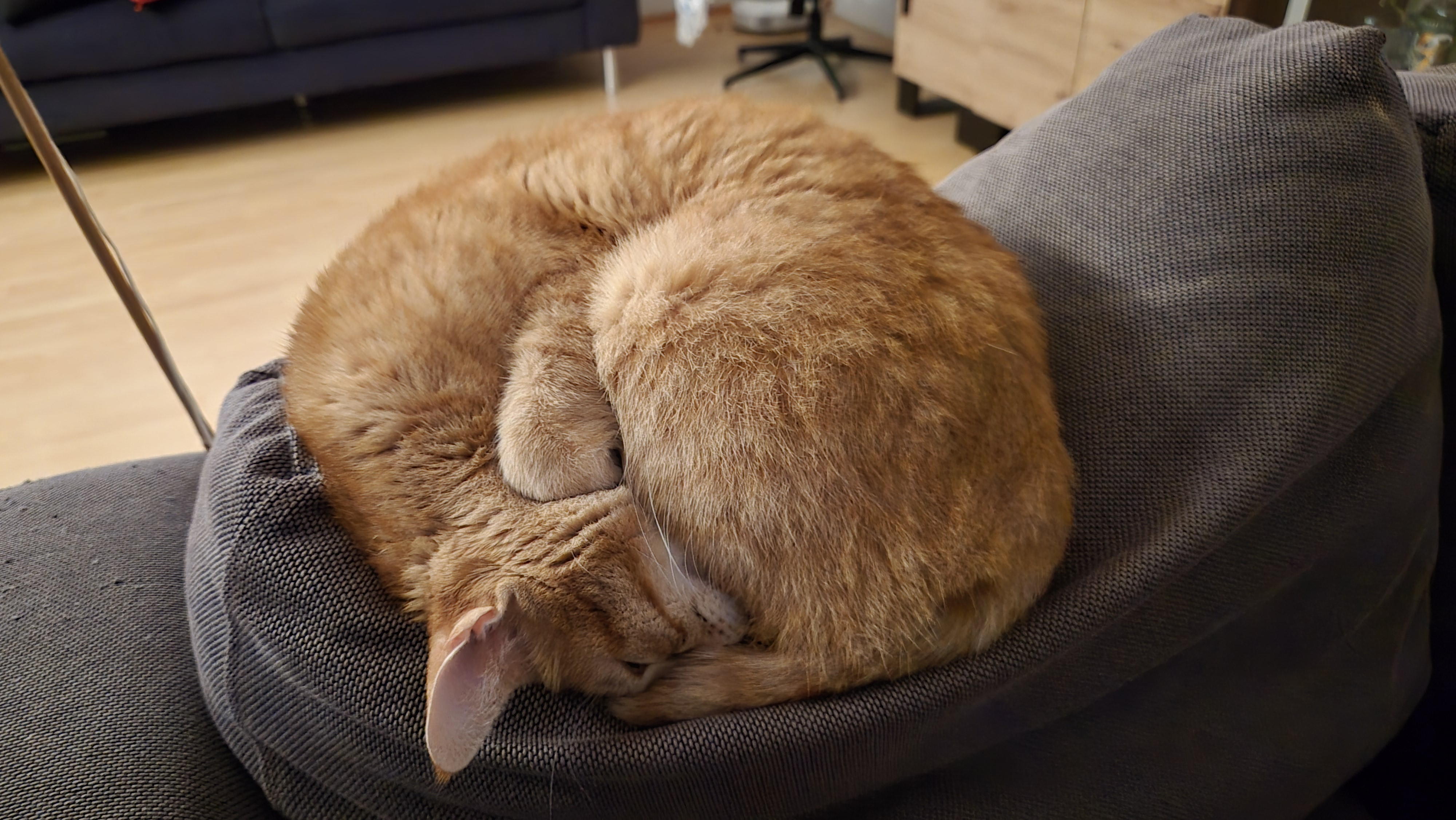 Nexum profile picture