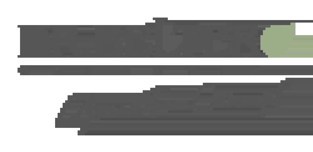 drbelter profile picture