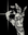 Fernand Rosier profile picture