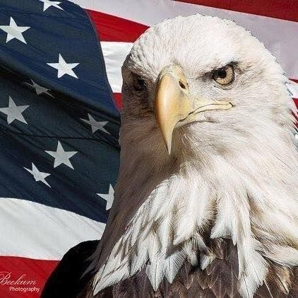 finesex profile picture