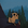 Gustavo Shen profile picture