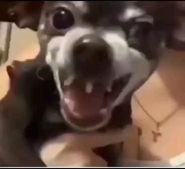 H1naem-a777 profile picture