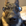 Harsh Nether profile picture