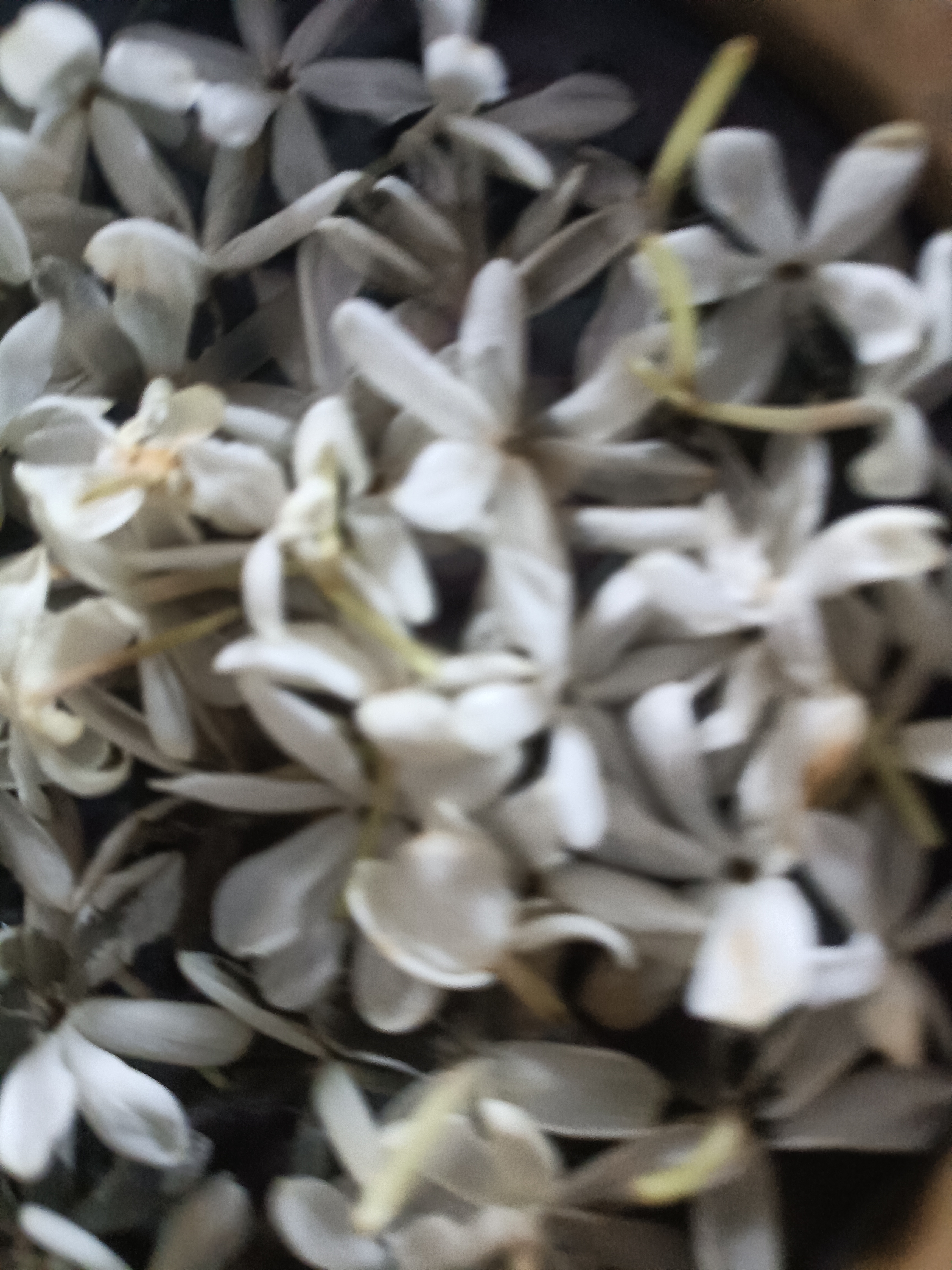 Hein profile picture