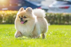 Hemalatha Muddada profile picture