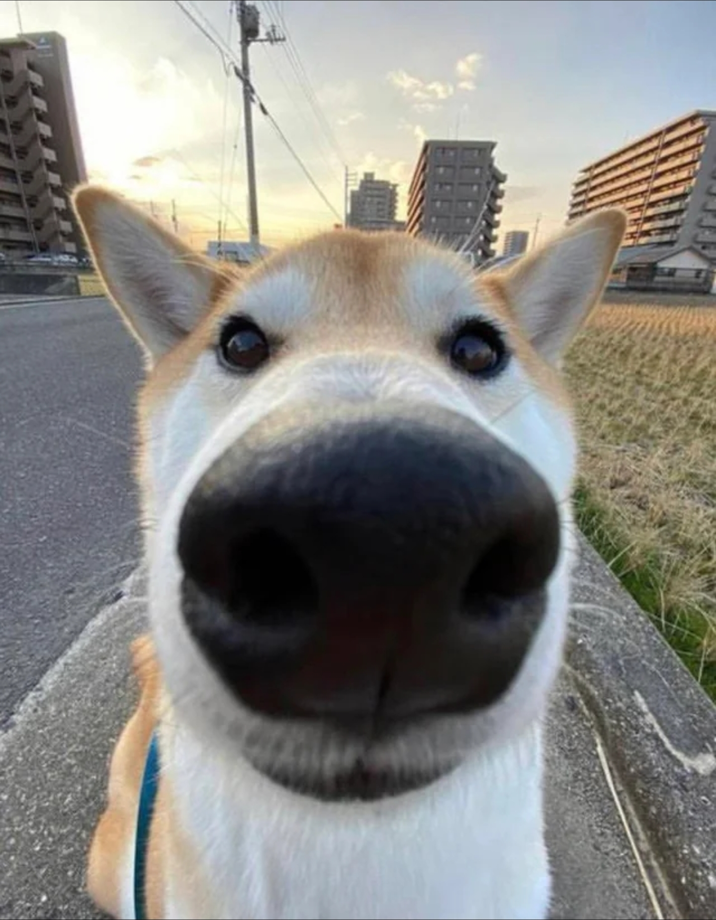 Henry B profile picture