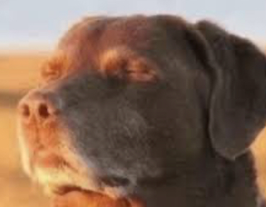 I’m done with gooning profile picture