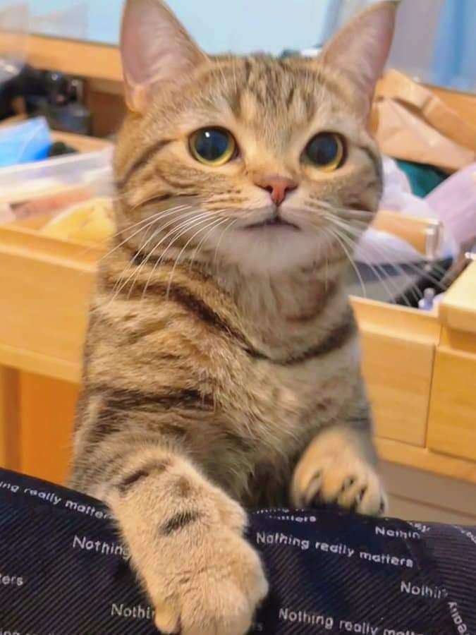 James profile picture