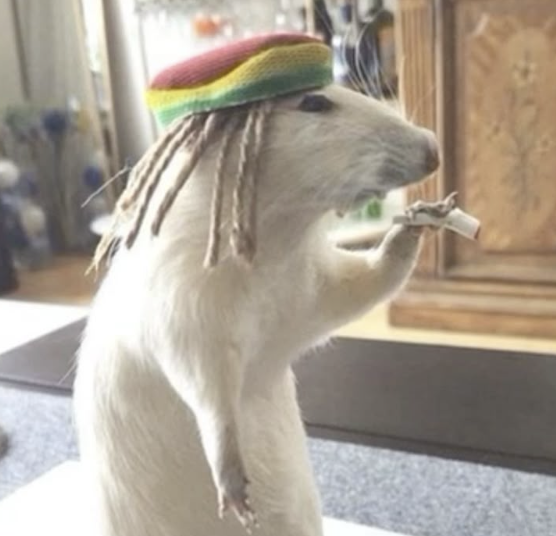 Jayam Santos profile picture