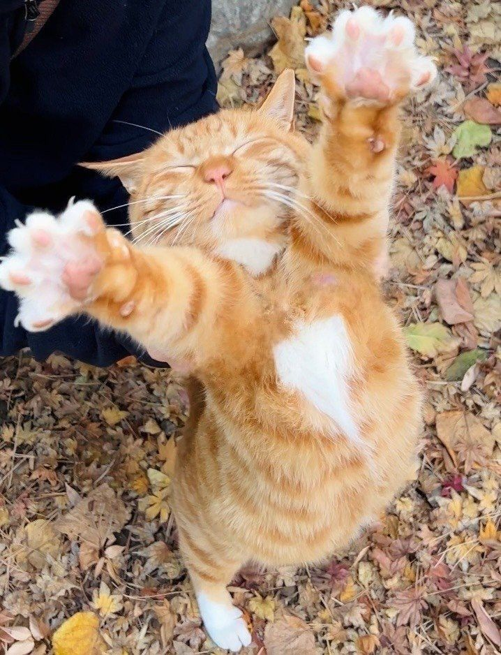 Jeyapretty profile picture