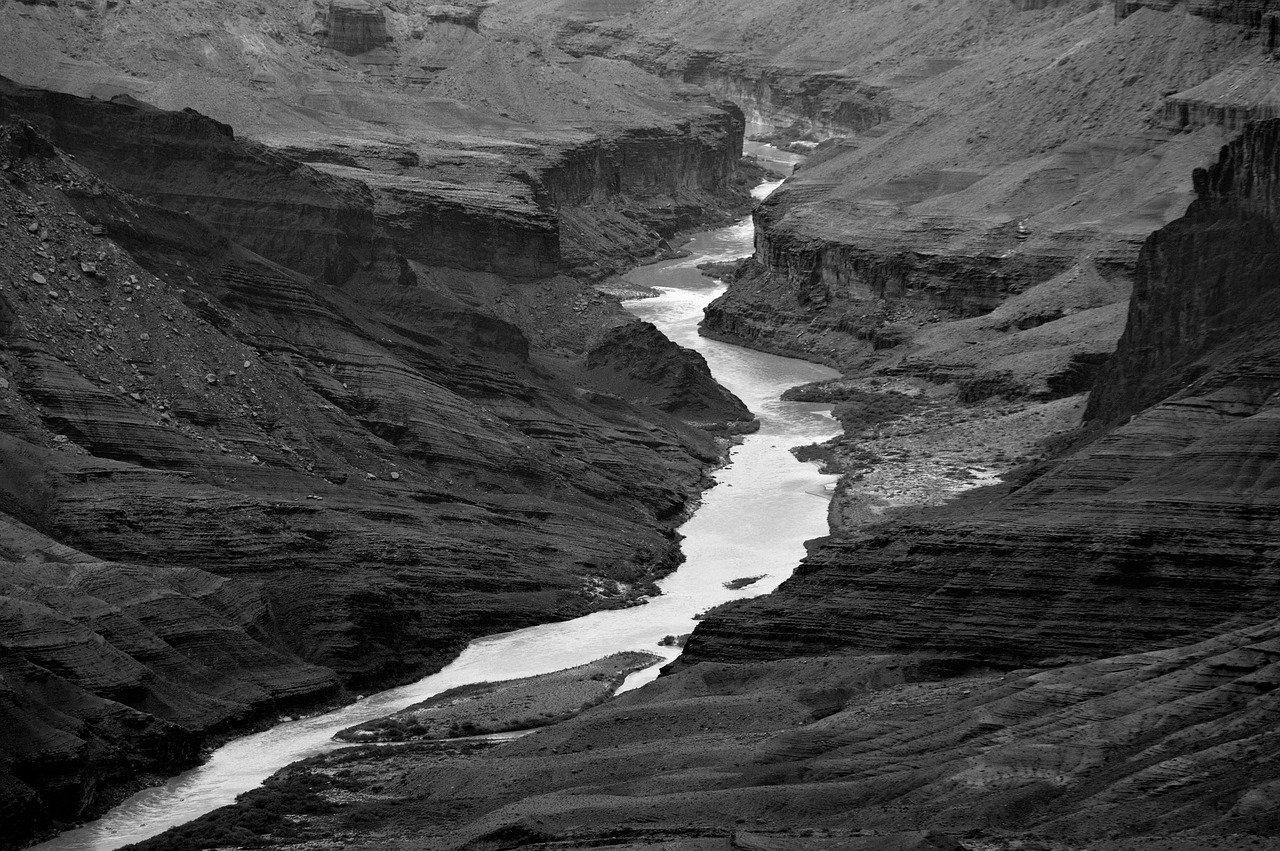 leon profile picture