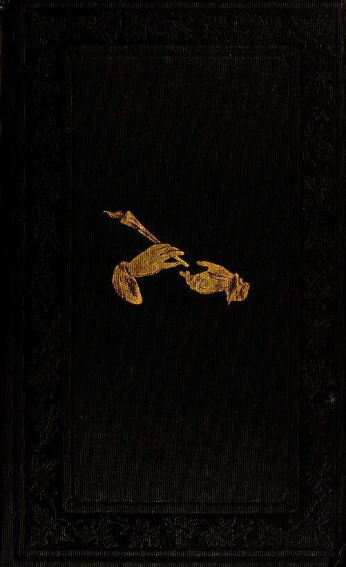 Lofi Gufran profile picture