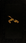 Lofi Gufran profile picture