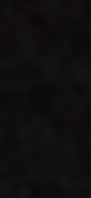 Maddie Bilotta profile picture