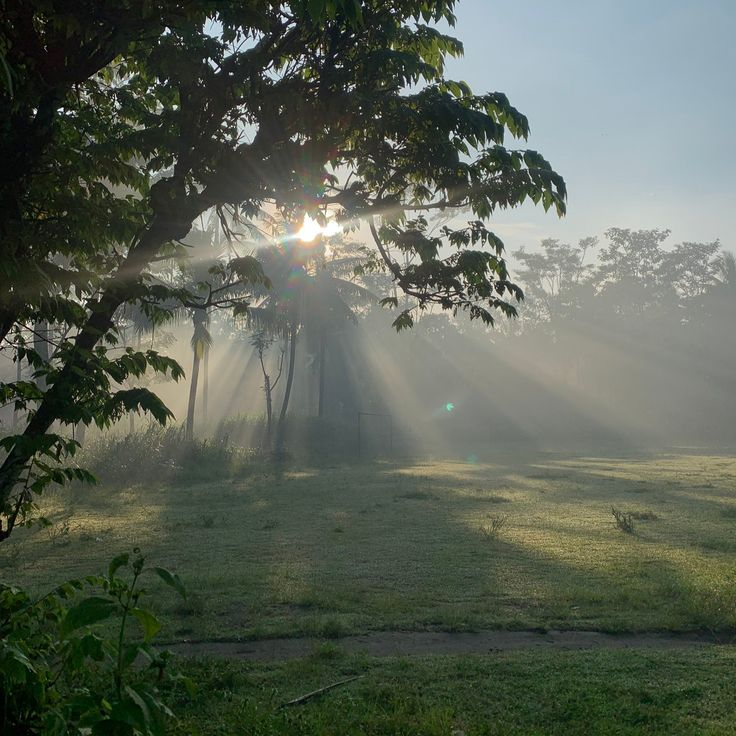 Мiкола profile picture