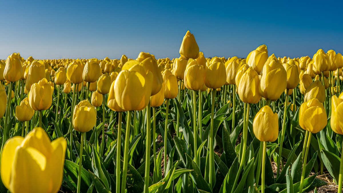 My Name is YOU profile picture