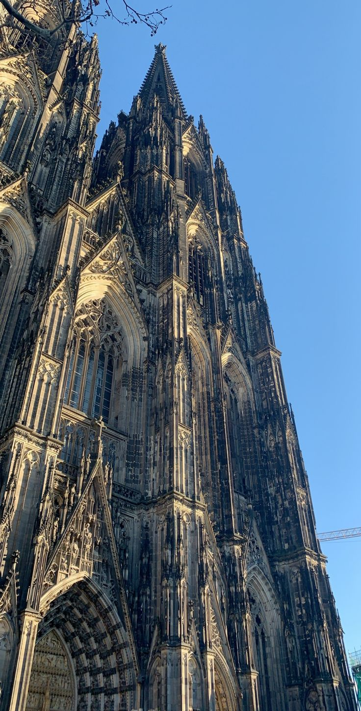 Naaonko profile picture