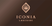nhadepinfo profile picture