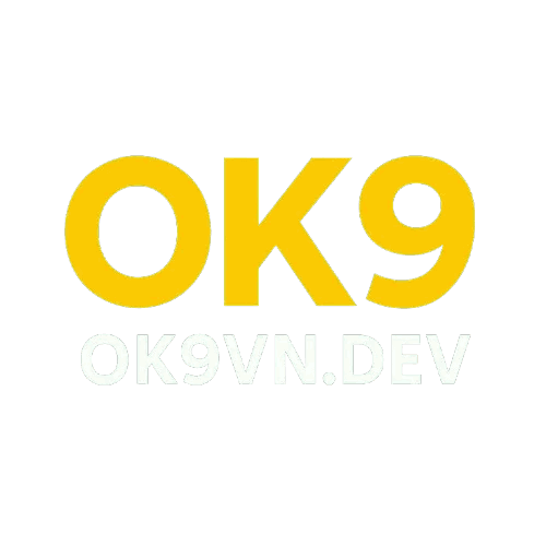 ok9vndev profile picture