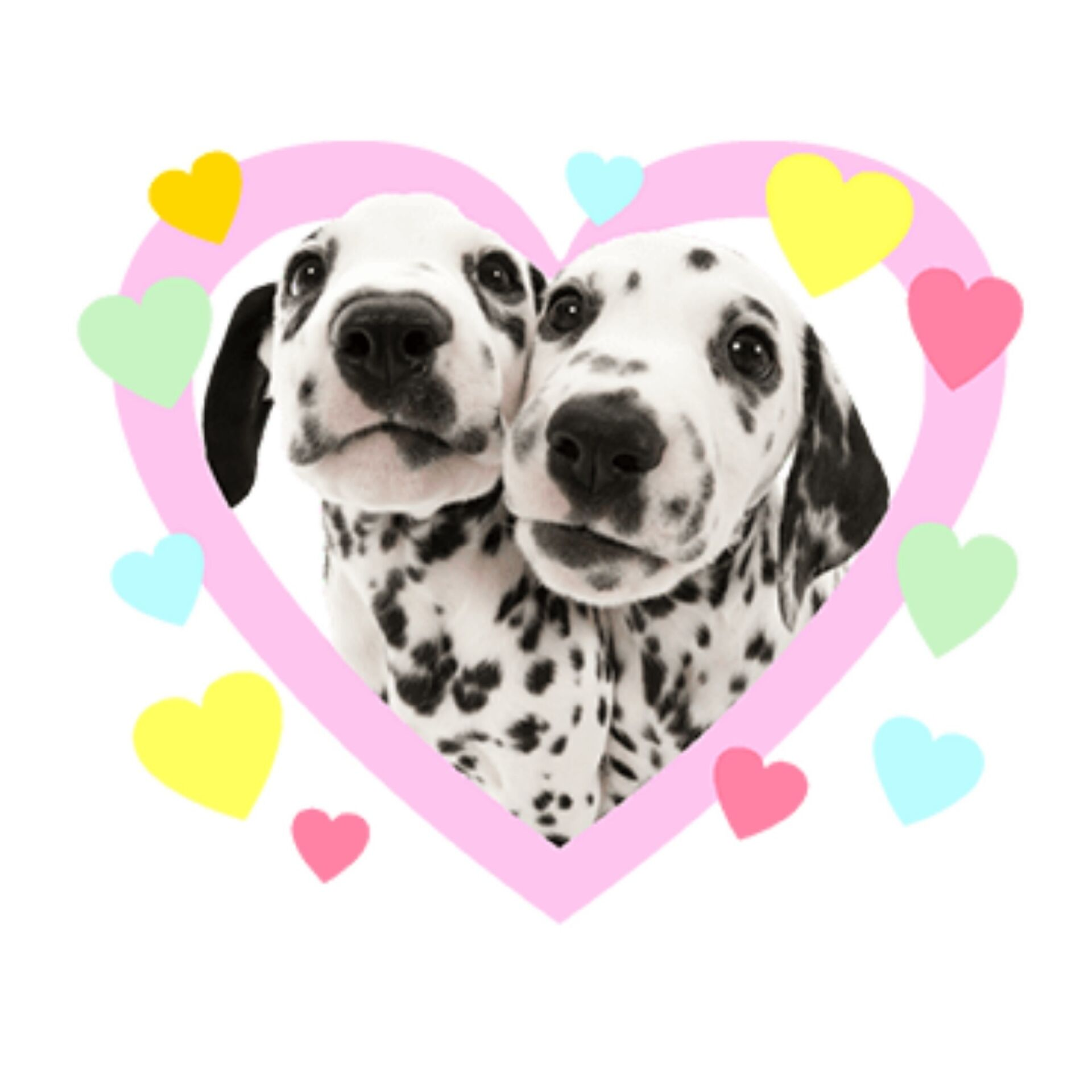 4YourEyezOnly profile picture