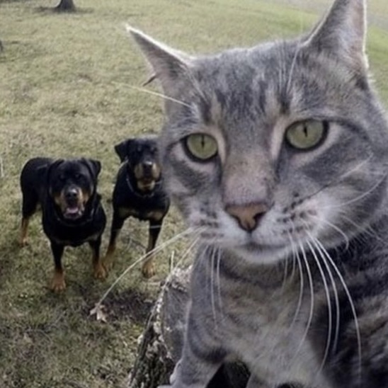 Pushkar John profile picture