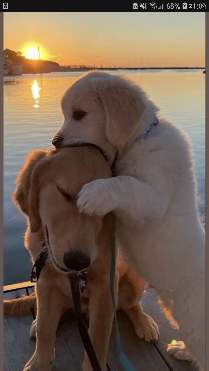 Regi profile picture