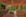 remer profile picture