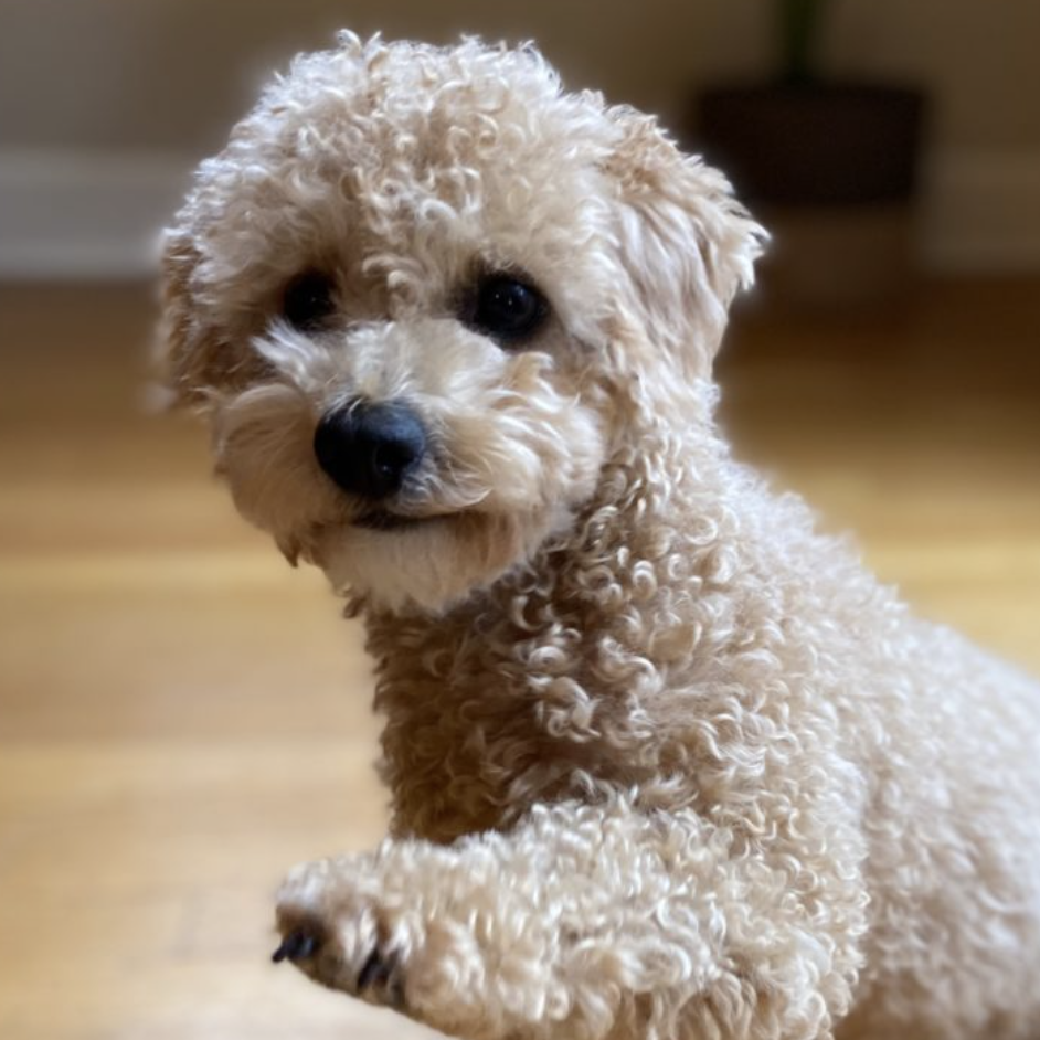 Sandip Sab profile picture