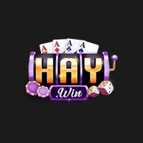 Haywin profile picture