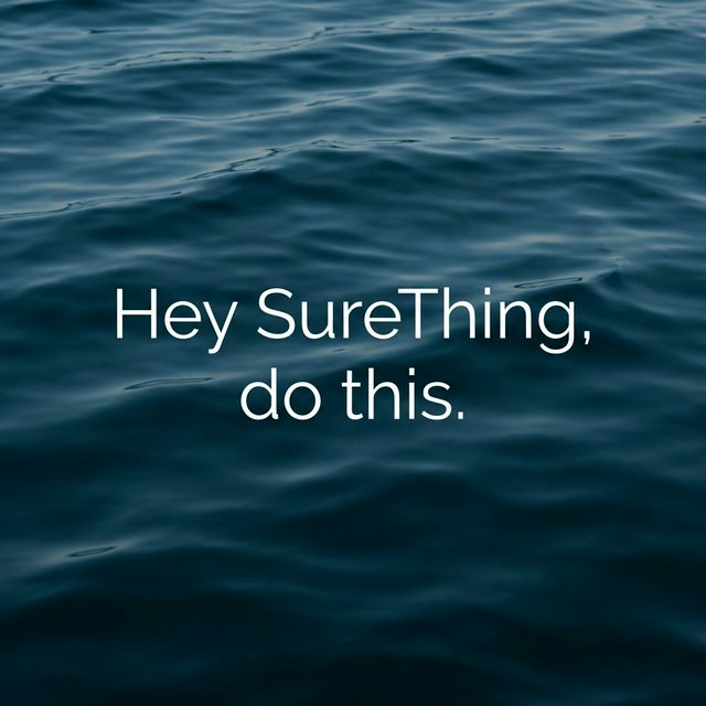 SureThing profile picture