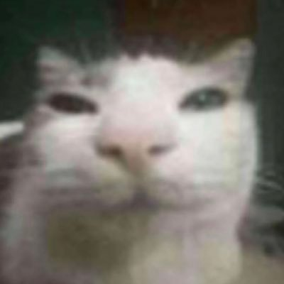 SillyMan2020 profile picture