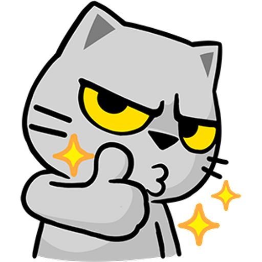 tiago Wir profile picture