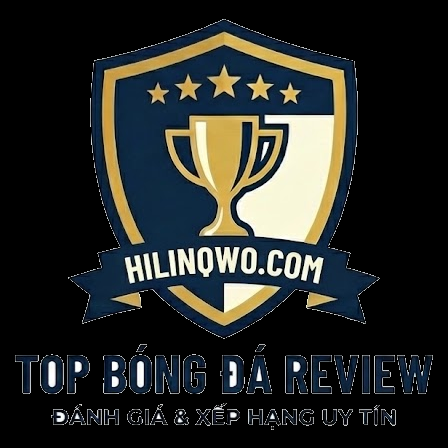 topbongdarev profile picture