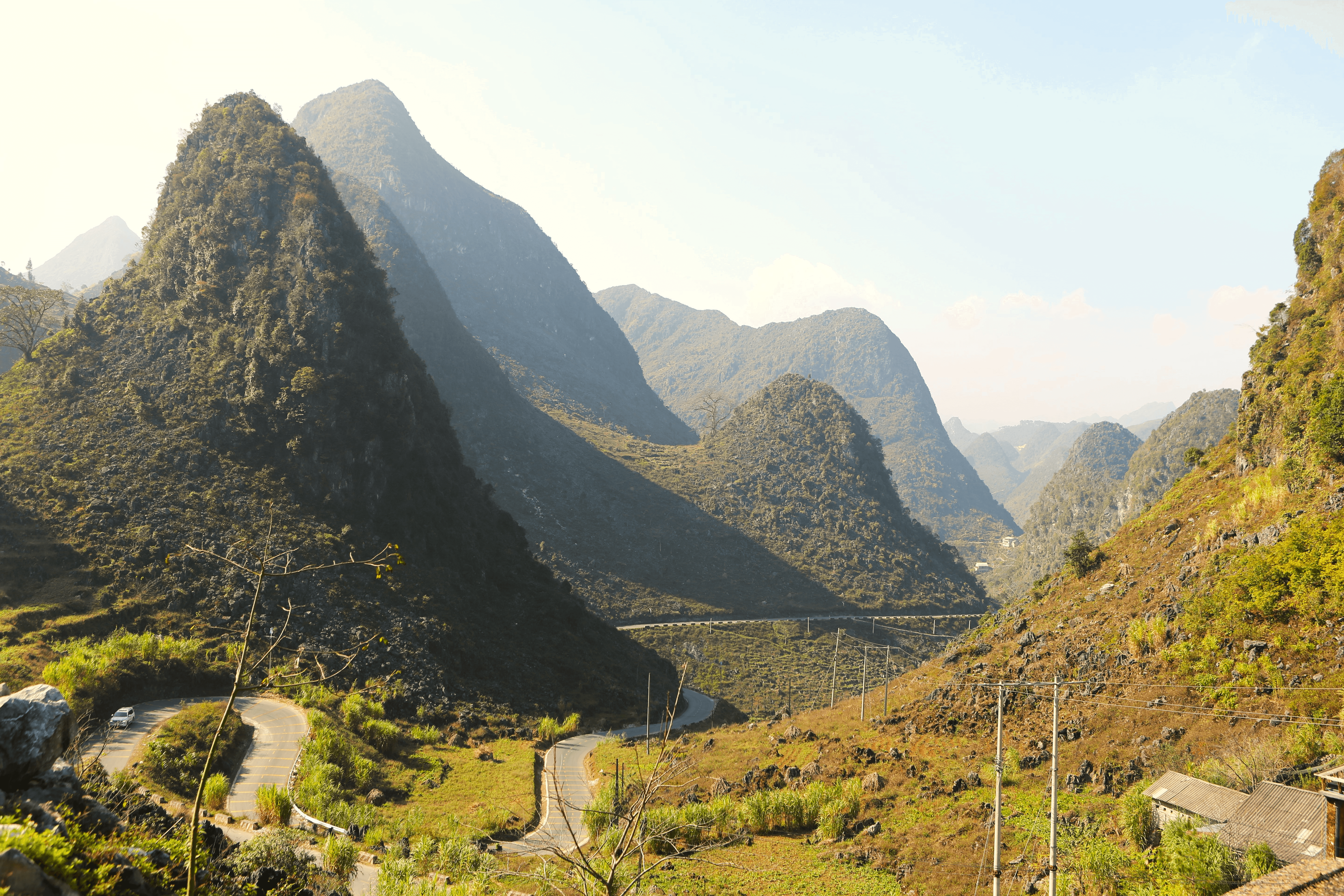 tvpalm profile picture