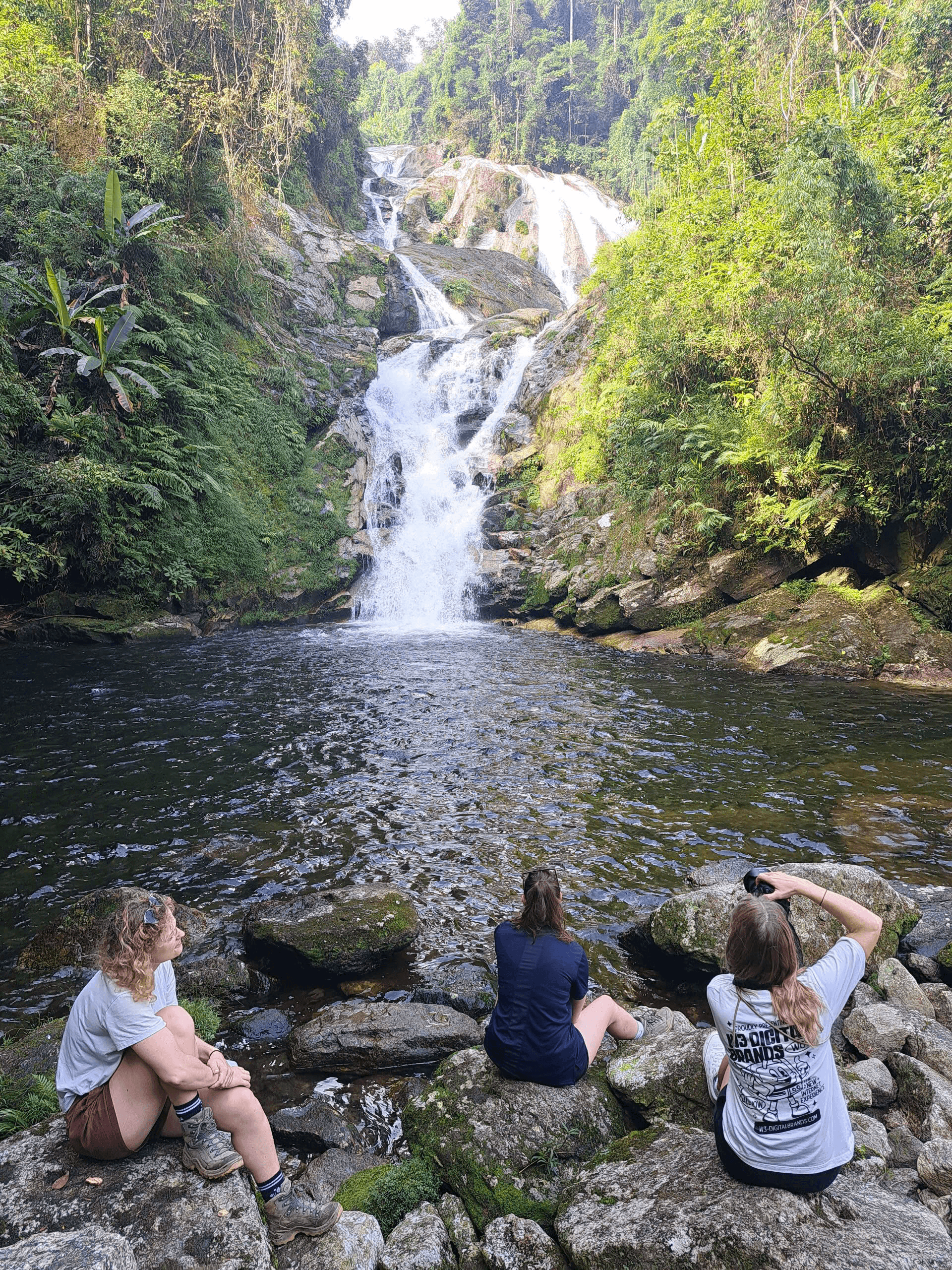 tvpalm profile picture