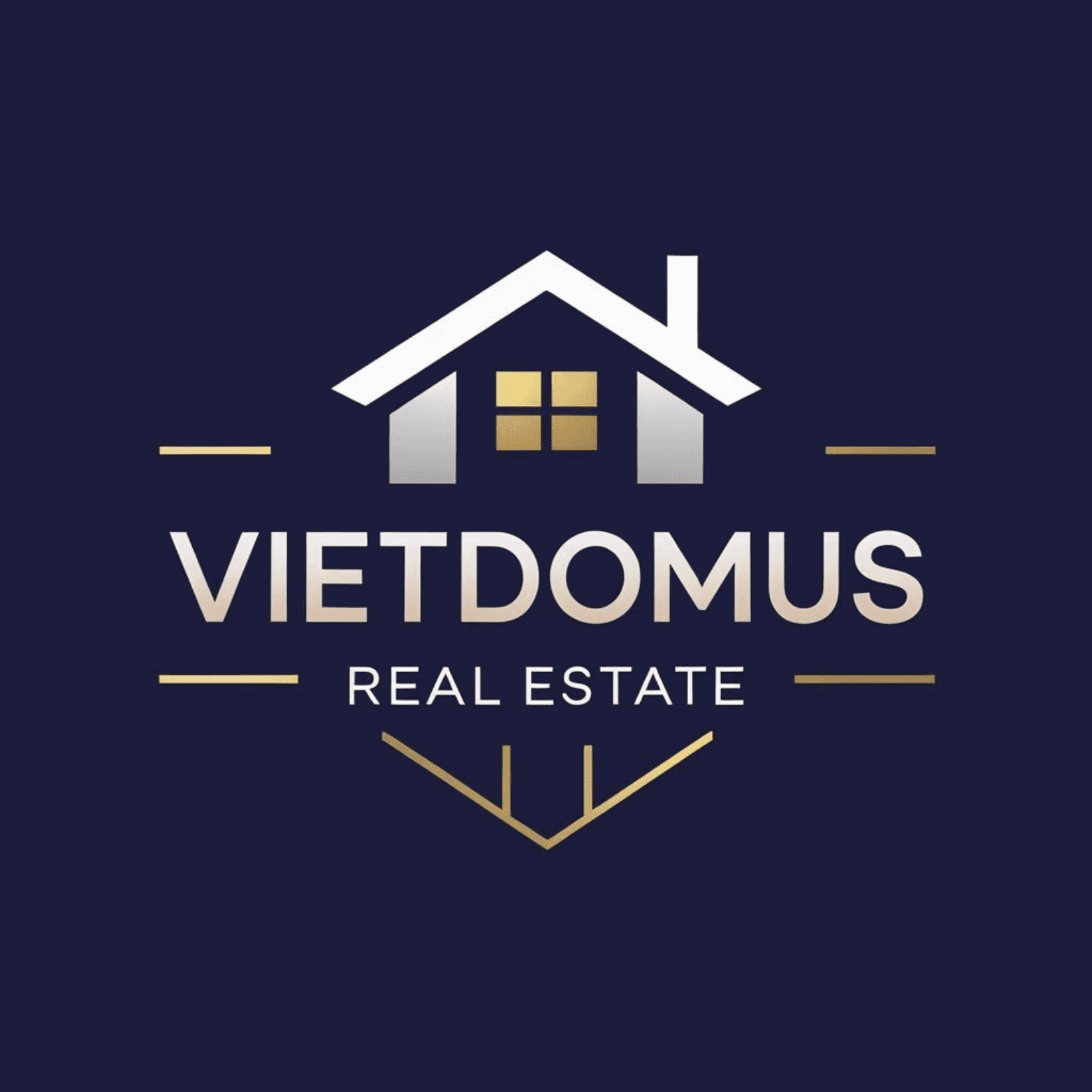 vietdomus profile picture