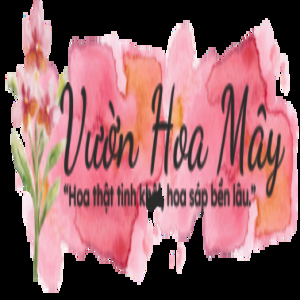 vuonhoamay profile picture