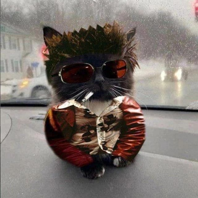 w1r94 profile picture