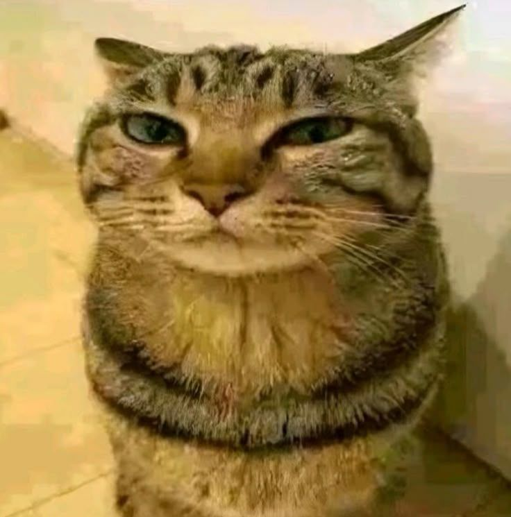 xpec90 profile picture