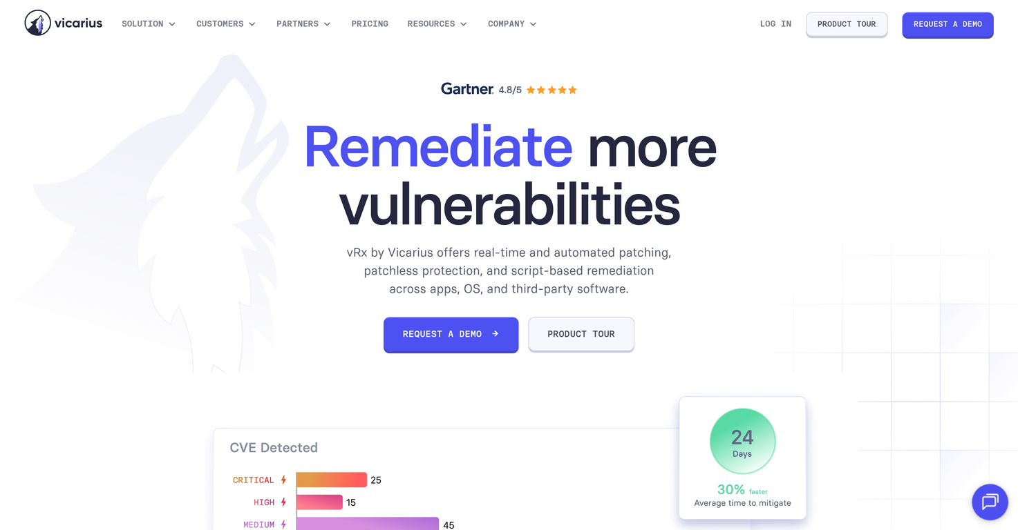 Vicarius website