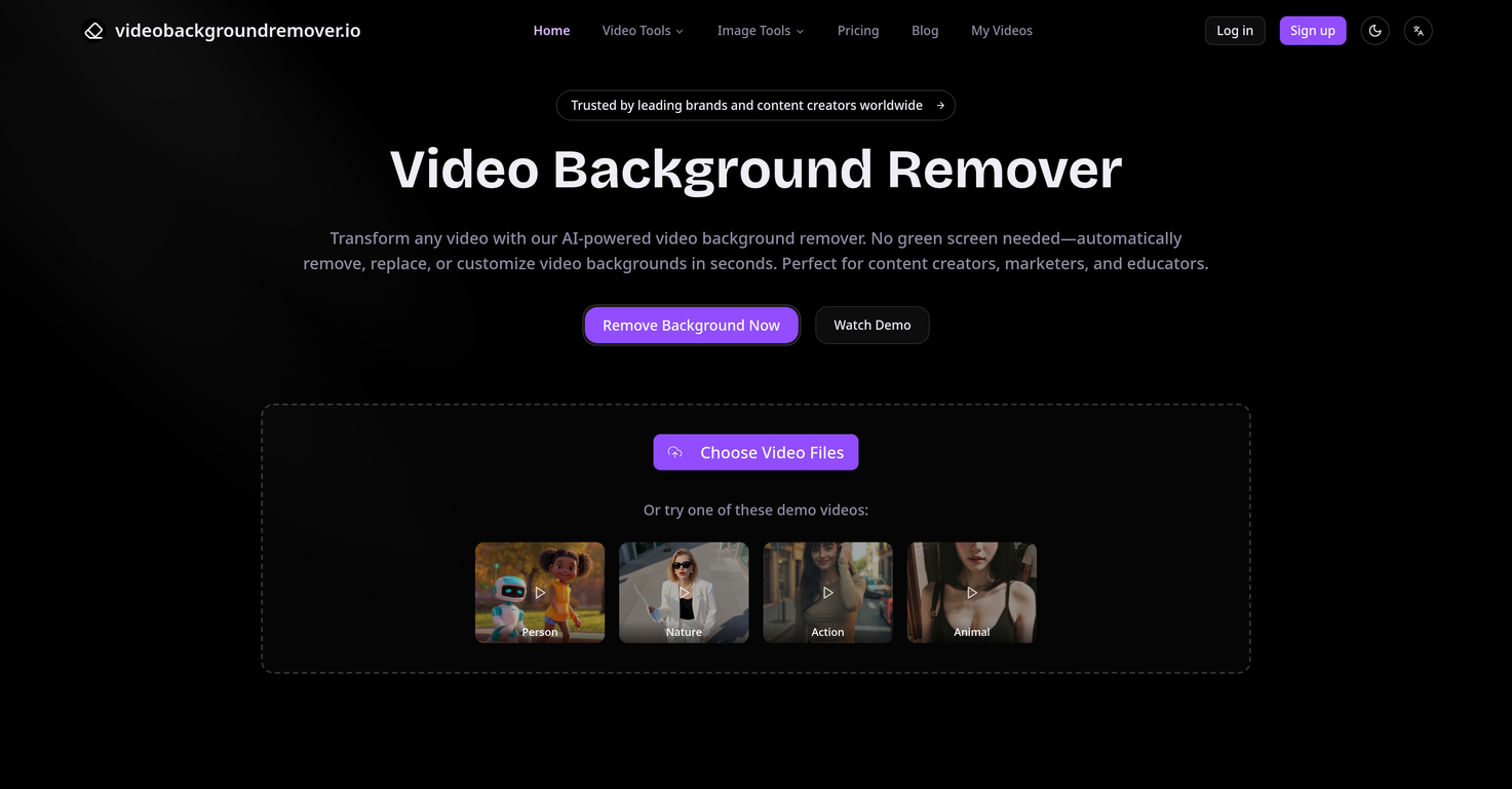 Video Background Remover website